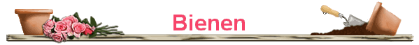 Bienen
