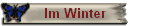 Im Winter